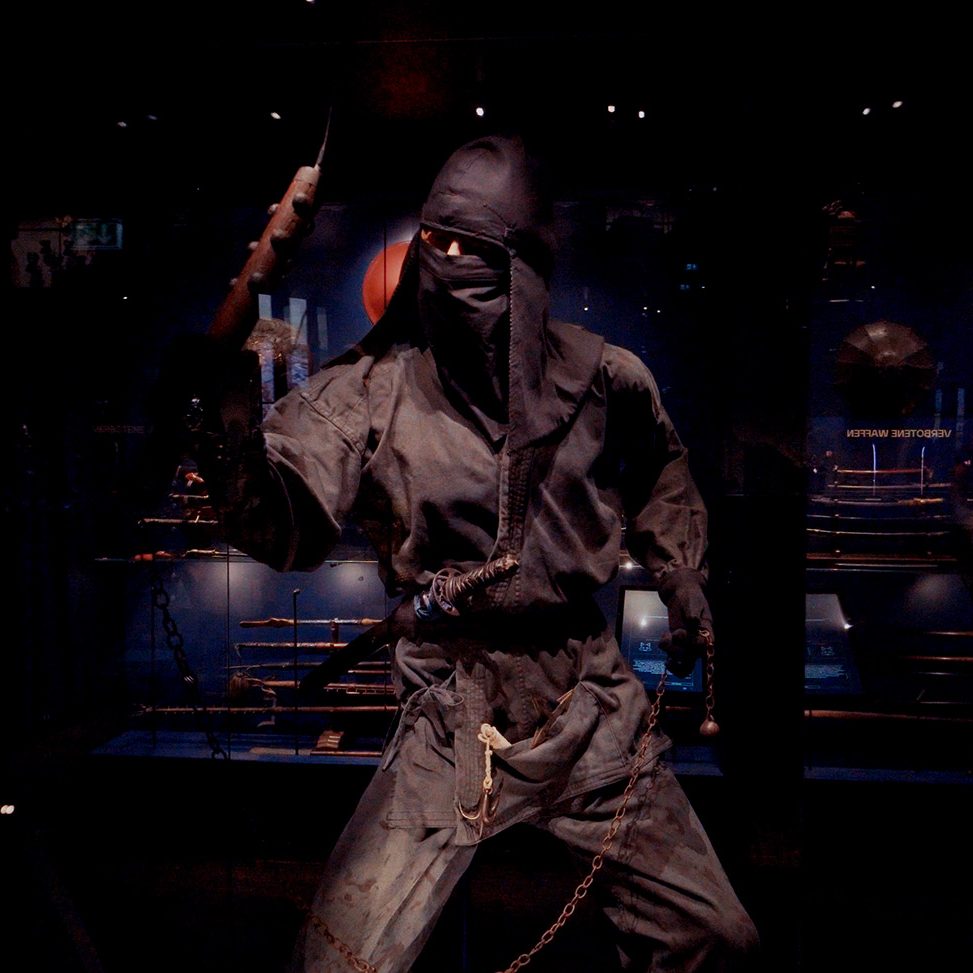 Samurai Ninja Samurai Ninja