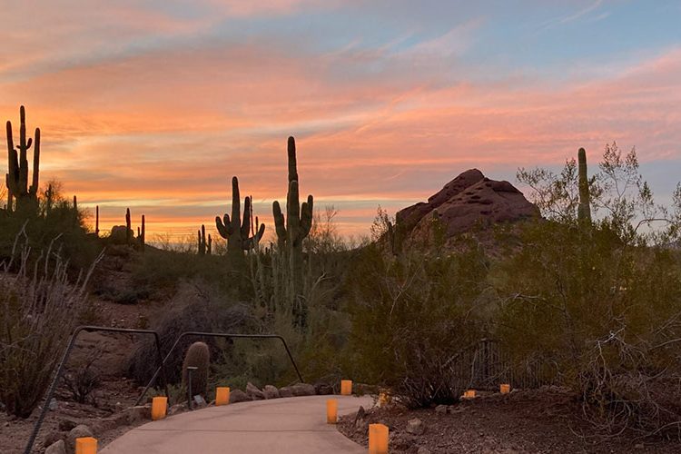Desert-Botanical-Garden_front